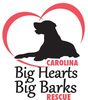 Carolina Big Hearts Big Barks Rescue